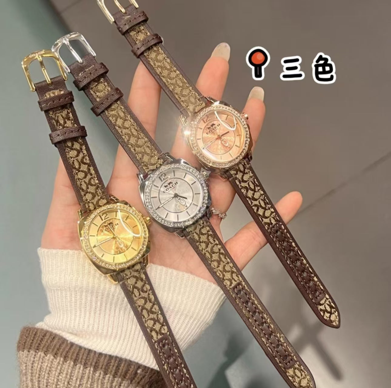 High-end watch specialty store